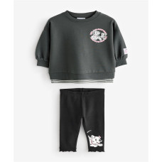 LICENSED ITEM