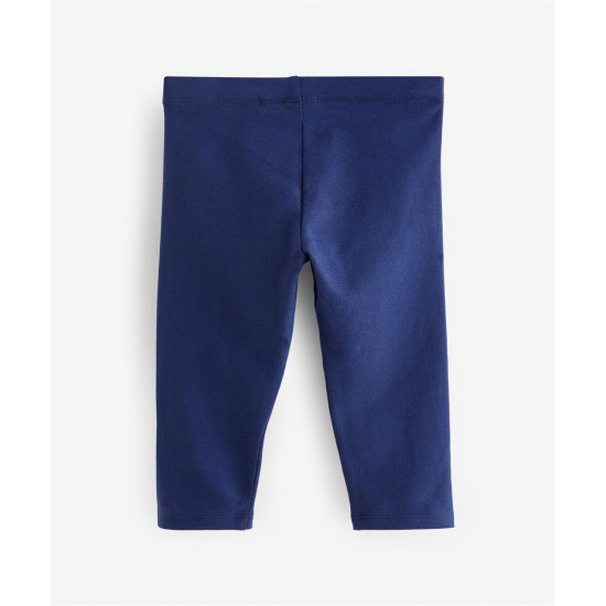 WEDGE WEDGE