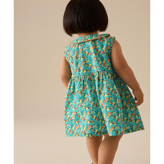 DRESS DRESS