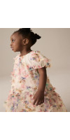 DRESS DRESS