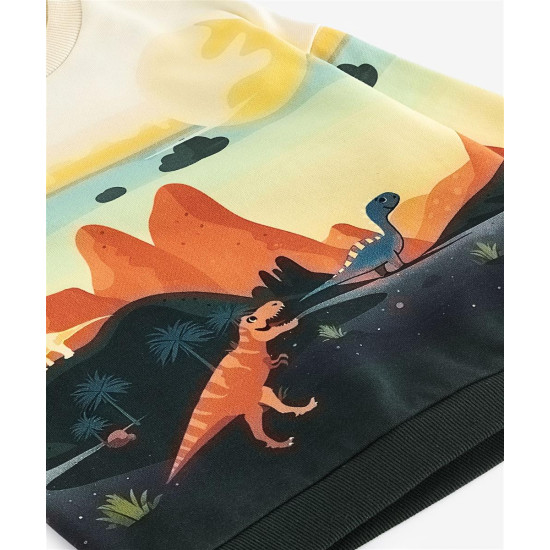 SWEATSHIRT SWEATSHIRT