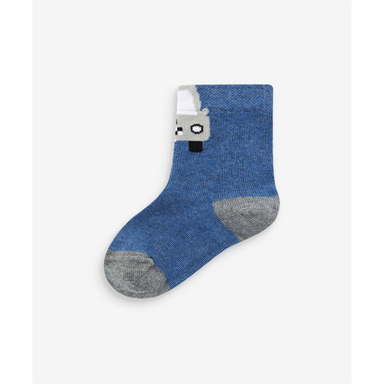 SOCKS