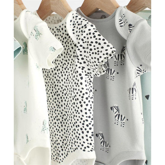 BODY SET BODY SET