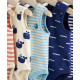 BODY SET BODY SET