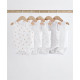 BODY SET
