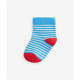 SOCKS SOCKS