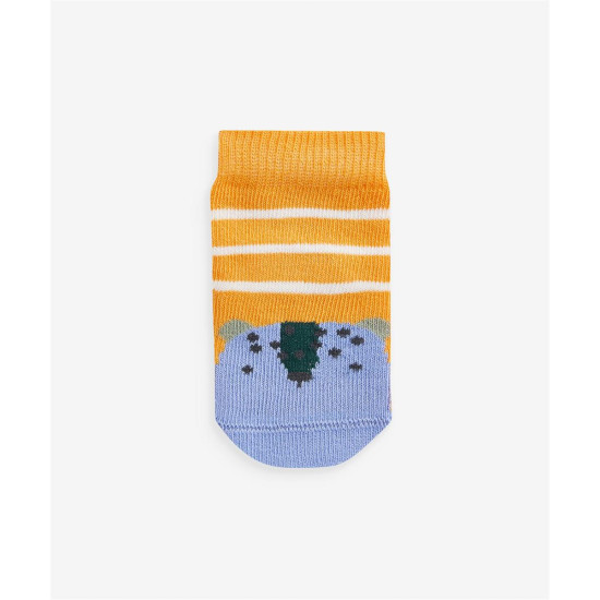 SOCKS SOCKS