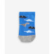 SOCKS SOCKS