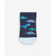 SOCKS SOCKS